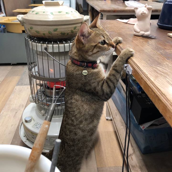 Ce7dbdf7 15e6 400a 9a95 a882c572241a 1648124282480