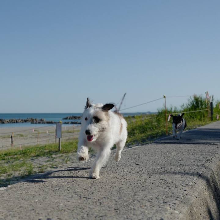 Ce7dbe06 ecd3 4d0d 828b 6de2051e8fa5 1568520063044