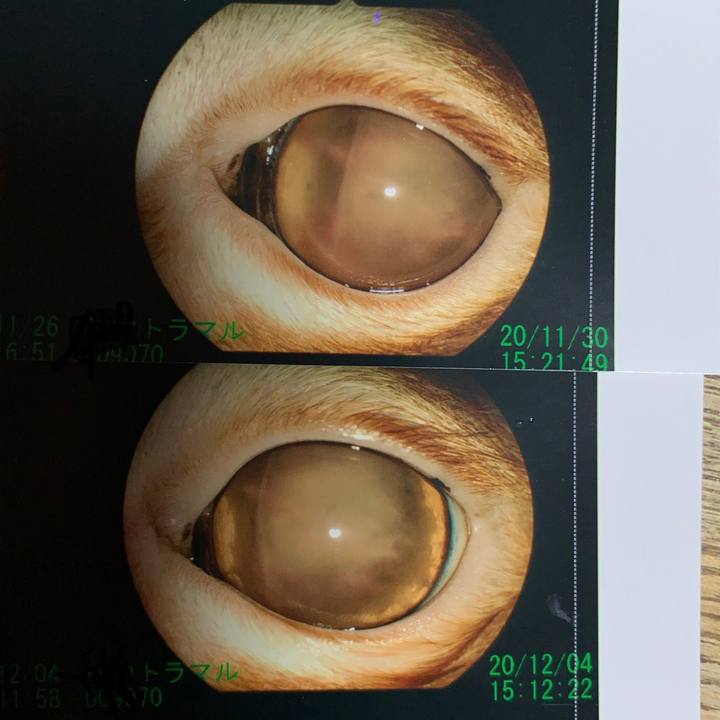 Ce7de1d3 bc2d 44a0 8735 9a3fbd64bbf1 1607089338977