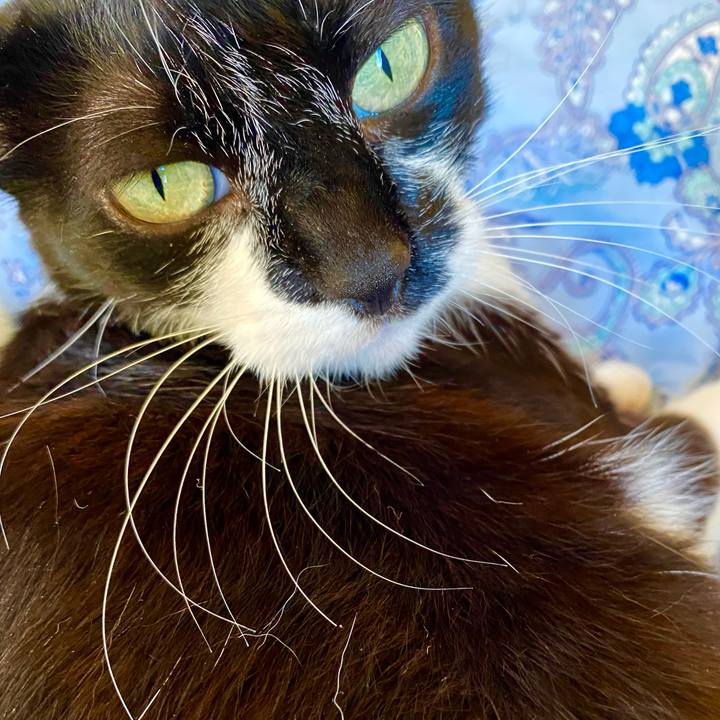 Ce7dec32 66c9 4adb 986c 59746a48c51a 1752962890639