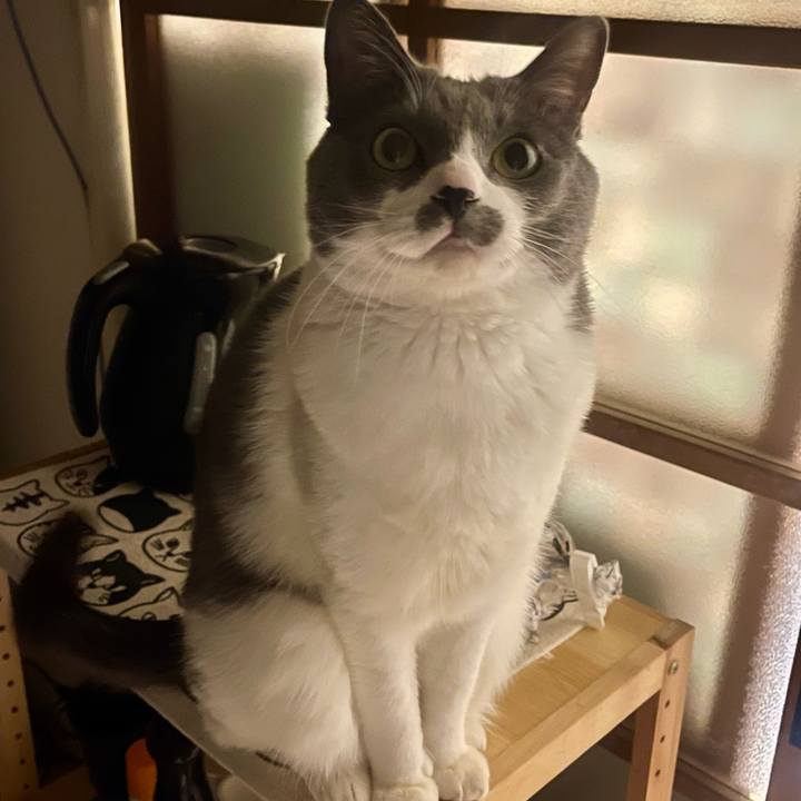 Ce7dee61 1187 42eb 926a b61ef4529e6b 1737127752509