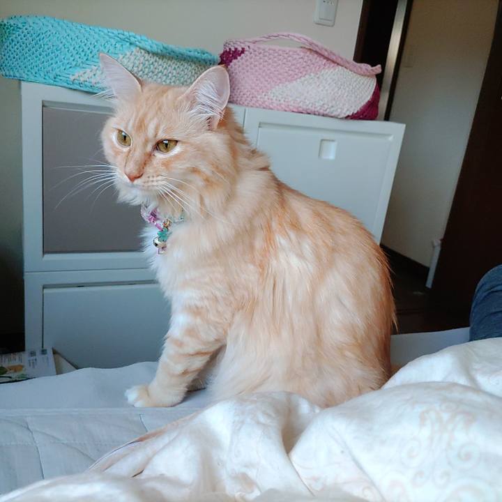 Ce7e16ee cc1f 4c9d 8d1a a501ebb9c922 1664580145291