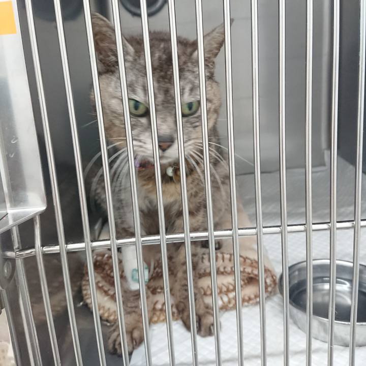 Ce7e4c6d 628c 4ecb a63c 2a01e4ef72d0 1597819489970