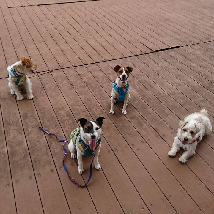 Ce7e5ebd 3705 41ab 926a a4162f89b05d 1594101017246