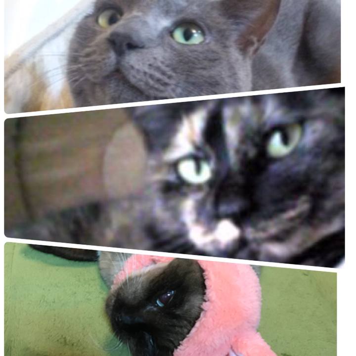 Ce7e5f3a e5c5 4db9 80c4 6a1c44e6f6c7 1535193845540