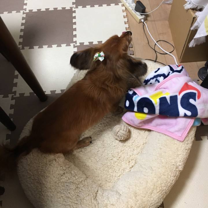 Ce7e63ca 1f84 4609 b72a c7e4f97306db 1545834238889