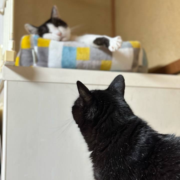 Ce7e8832 36f8 408b aa89 92b63e6c6537 1697587356628