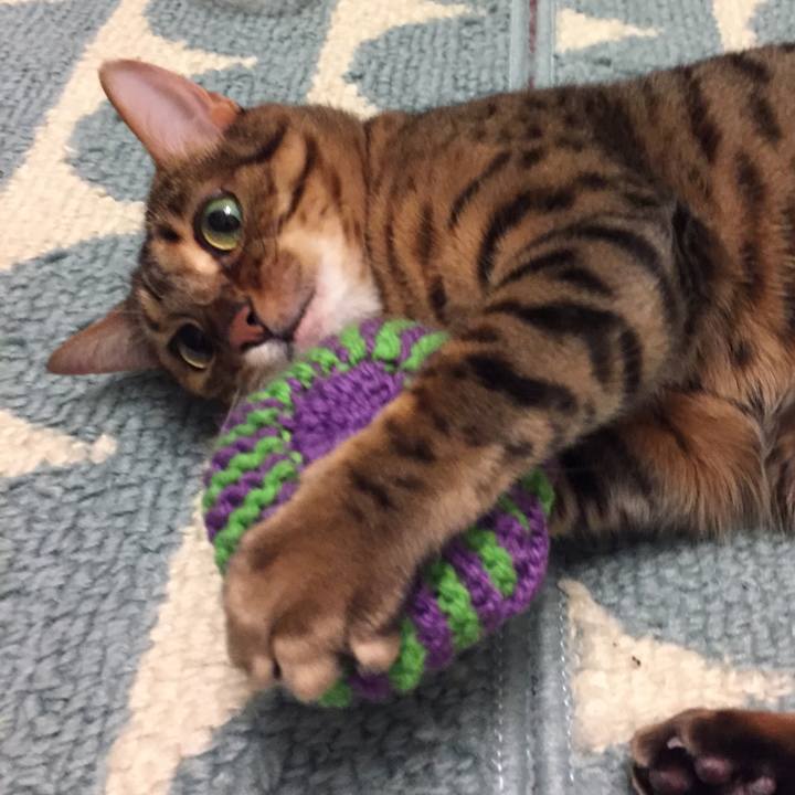 Ce7e91b5 096a 430b b925 b0571a1f6d43 1517616377353