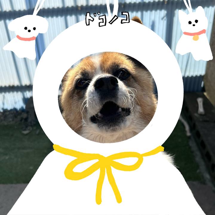 Ce7eb2a1 7492 4a37 89ee 1f7094e4179e 1781731047813