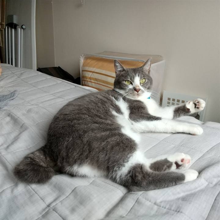 Ce7ebe1e c68c 45f5 81c1 3ac127a94bd3 1630717012566