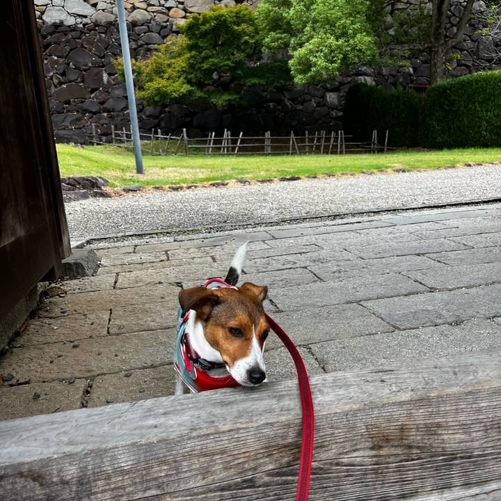 Ce7ef5d5 74da 4014 aca9 aab92815823b 1758773164985