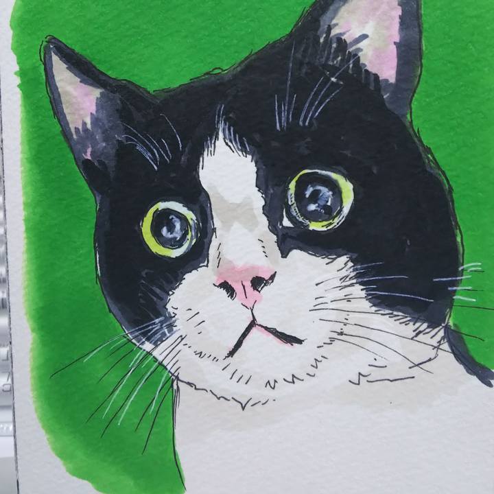 Ce7f56b6 89c1 4dac 950c b79cf733b370 1572351871773