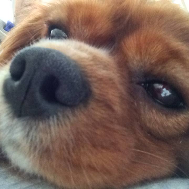 Ce7f9866 ce6f 4abb 8421 6ea8b6ea5eae 1519597308023