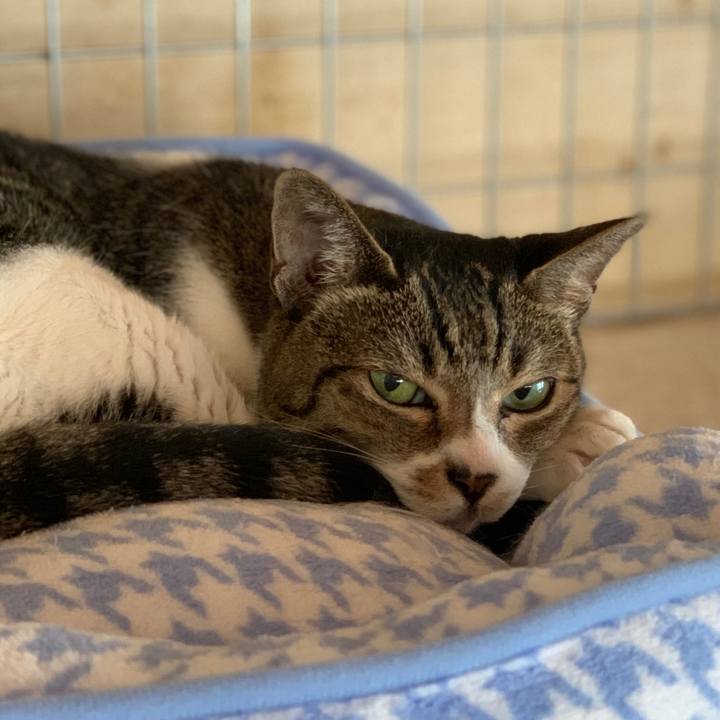 Ce7fb563 ab5d 489a a4f2 0b7ebc8cf6de 1602721356385