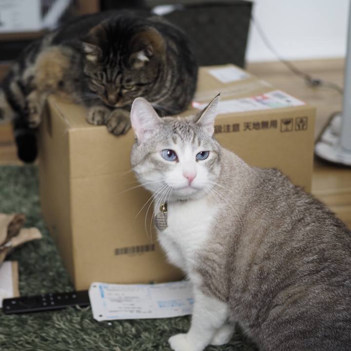 Ce802f63 a023 415b 9928 856ab69f6445 1615026500377