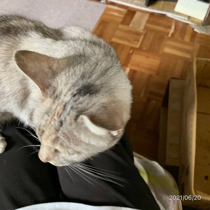 Ce8047a3 9d13 4e2d bede ee3126237fdd 1624156001178