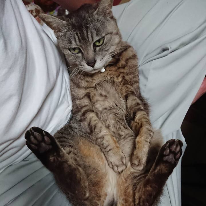 Ce809cb7 8f44 4448 9f1d ab48ebff0bcd 1562321806002