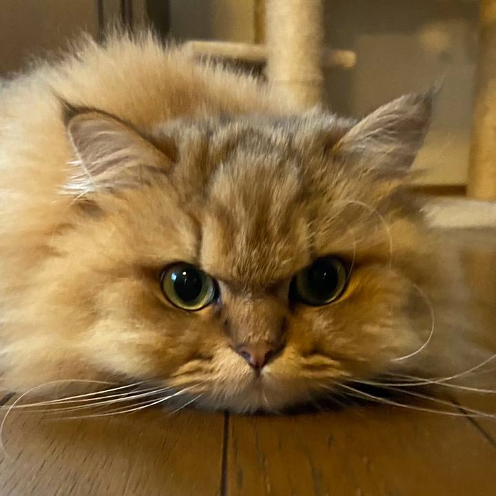 Ce80b3f2 60e0 4f30 8226 8a9dfcf4f08f 1627548488630