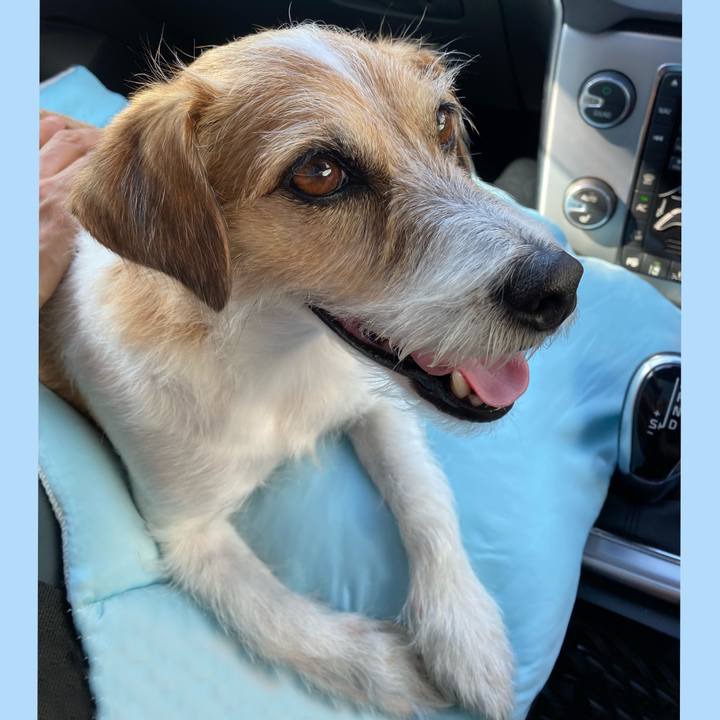 Ce8100e1 8124 4f9b b07d 3872879cf41d 1665057380644