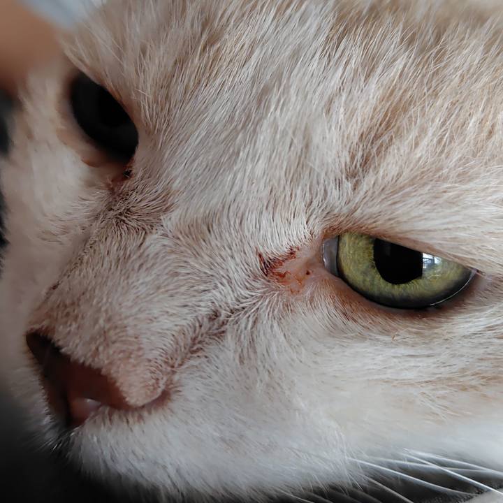 Ce816661 b550 4ce9 acbe 3236f5f15bb1 1761953700592