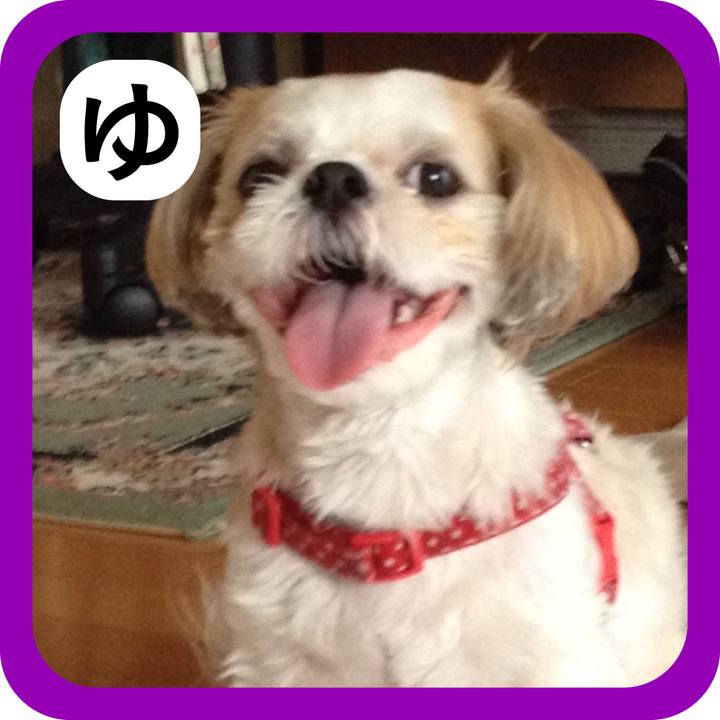 Ce81896f 2f7e 4a85 8f6b 106ae325ee6f 1515212771349