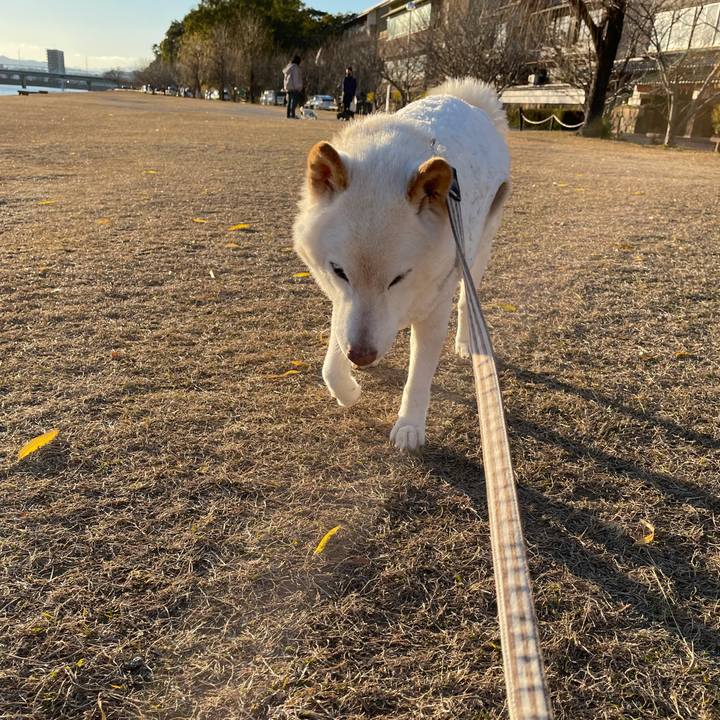 Ce81995b 3b90 4daf 82e7 3bef75ca7529 1642151971213