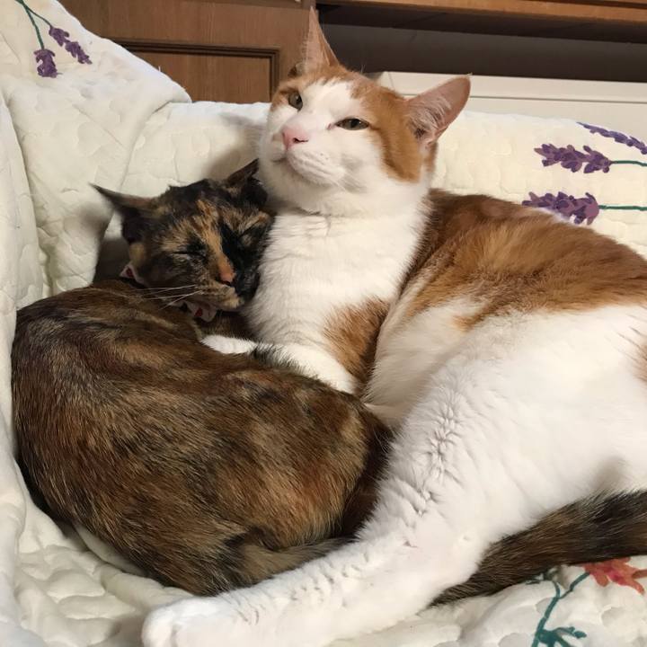 Ce81fb09 34c3 4bd4 8312 c4d804ba002f 1622152925658