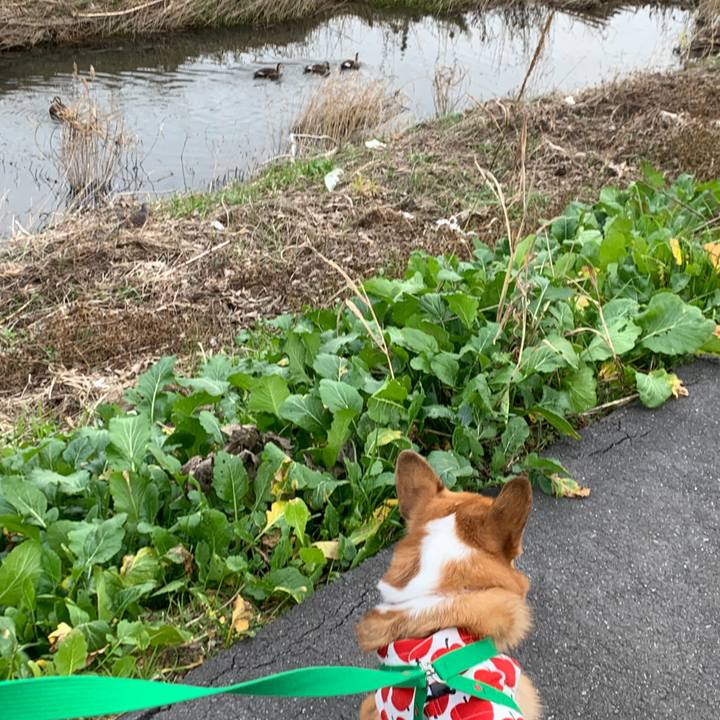 Ce8236ab 11dd 48dd b909 6e4e97116324 1576047007981