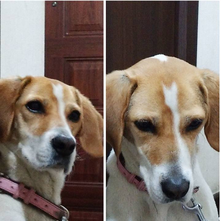 Ce82562c 70b5 4e3f 93fd eb877b7b28b1 1588762370891