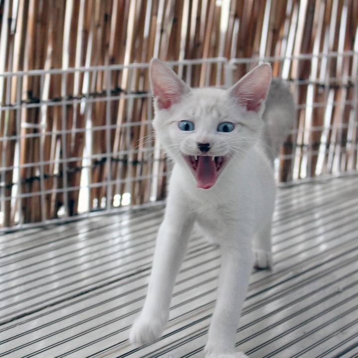 Ce82767d 87fe 4187 abad 44b37ded9c48 1600295977777