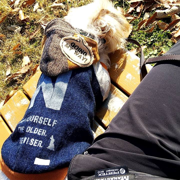 Ce827a7f 6e43 404c bfbf 78726b5704da 1576300613088