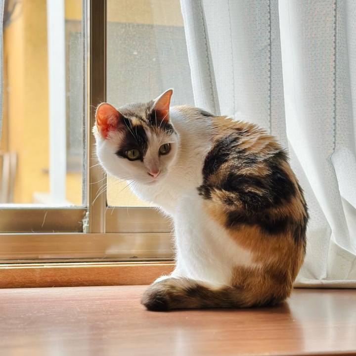 Ce829216 017a 4bd2 bfba 0456b43225bb 1689214719427