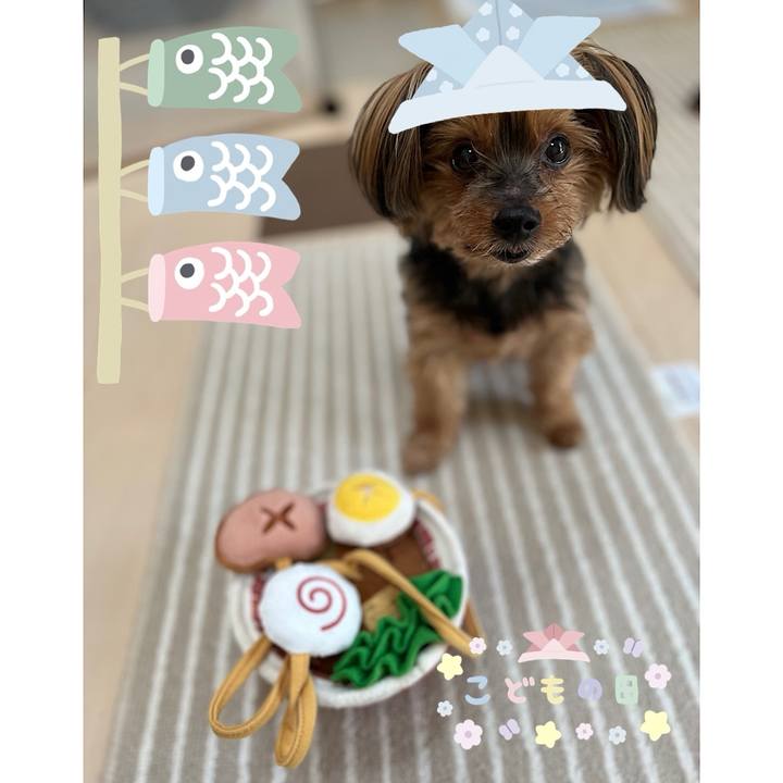 Ce82945c 477c 48ab 80b9 84bc25356b15 1714872827657