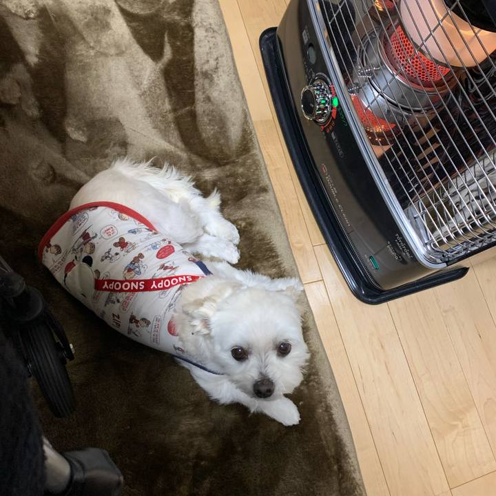 Ce82c071 9493 4ea6 b08f a23796fb2e59 1641974190624