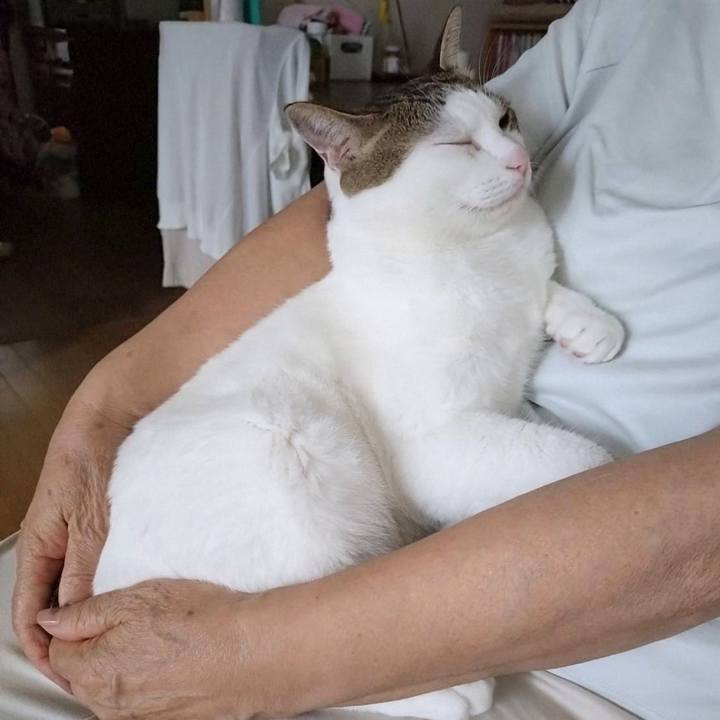 Ce82d103 fca0 4734 8870 c409d9de475b 1724749374758