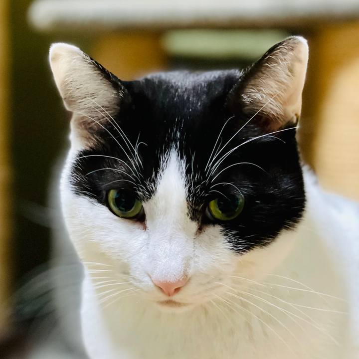 Ce8302bf 46db 4f17 b7e6 37aec37ba7c9 1613178110570