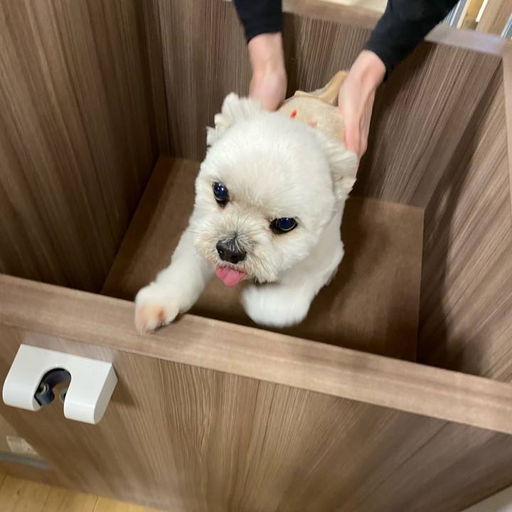 Ce83061b 42b6 45da b10c bff8a8ebe3b4 1701259562621