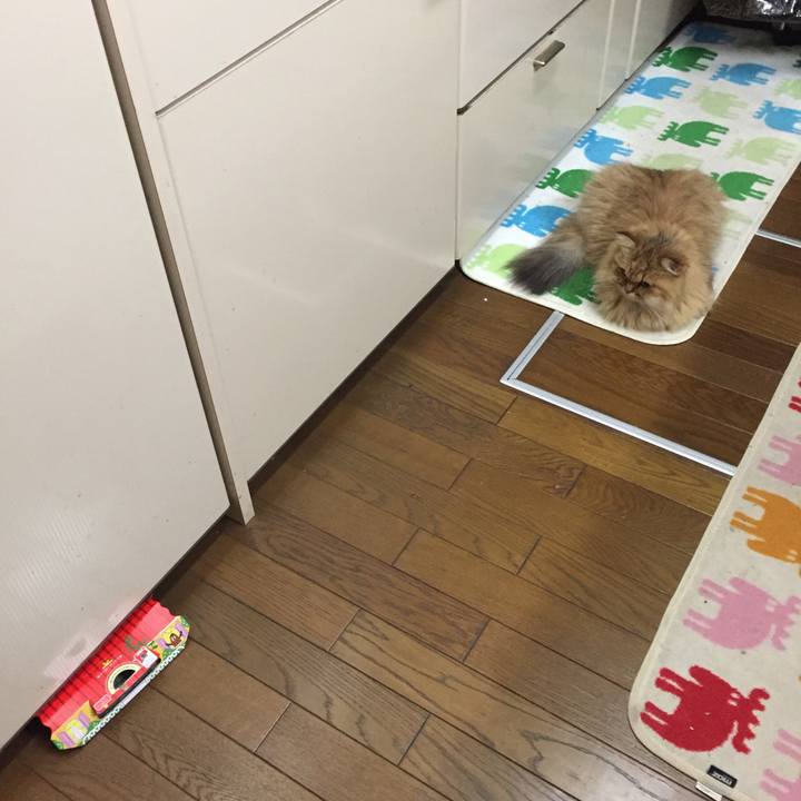 Ce830f2b 2097 4c90 9d16 2e1b6781e0b8 1535286693184