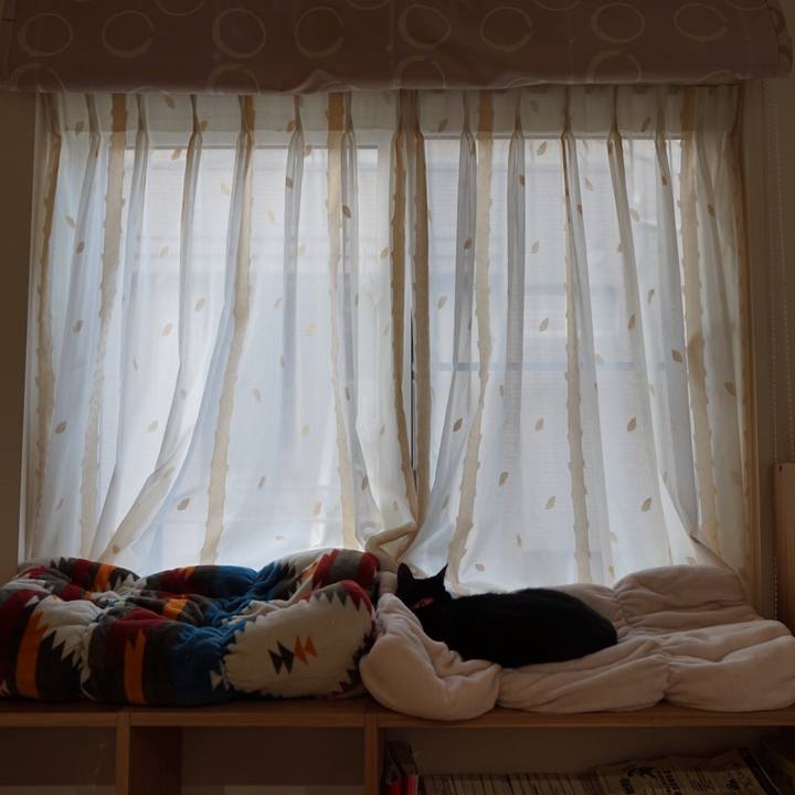 Ce831625 f286 410c 9e75 34f09f937723 1544251037208