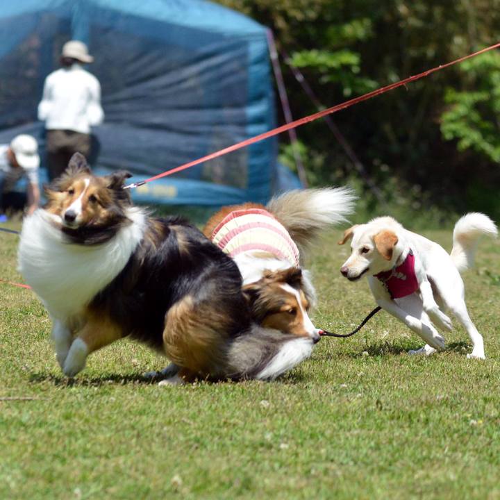 Ce835a1c c03a 40d8 9798 f087145b1ccc 1524489965290