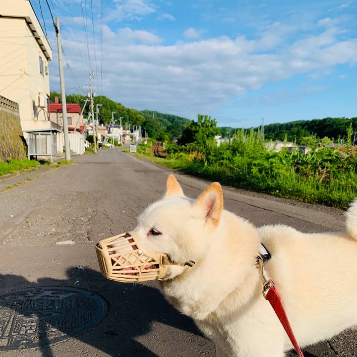 Ce836381 98b0 4f3d ad01 235189fe198b 1595715923928