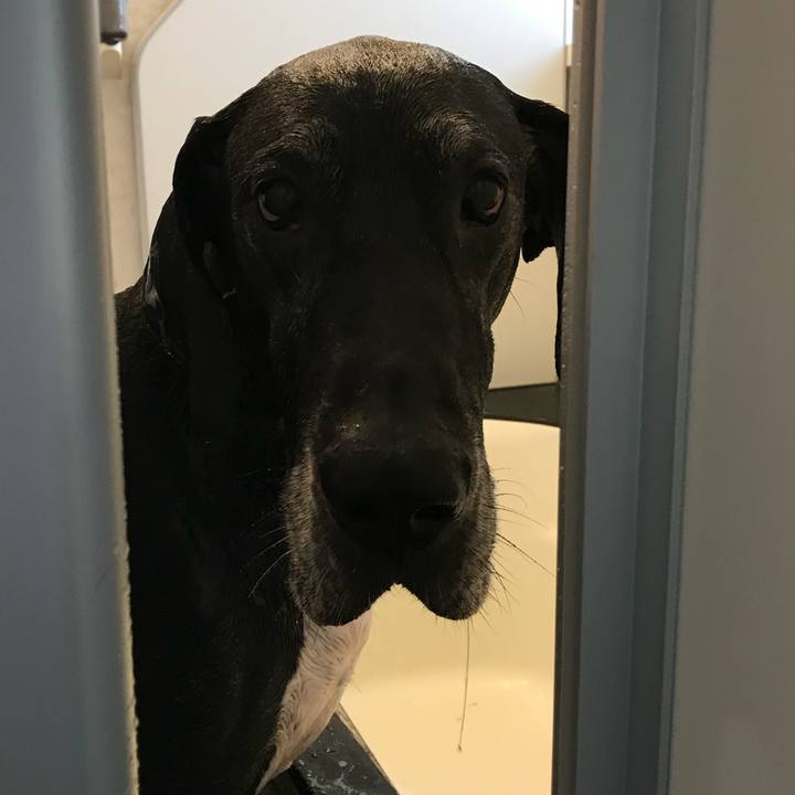 Ce83f02a 09b5 4980 94c4 7e9ad4201320 1521939035723