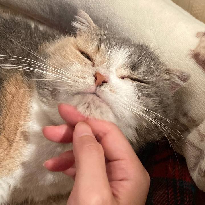 Ce845f3b f13f 4123 abf1 5d9883ce7ffc 1648472371583