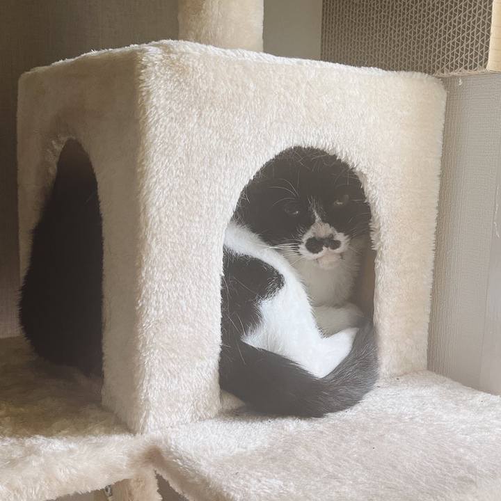 Ce848e77 c3a2 4a06 af46 0cf04d57f0c1 1654992999308