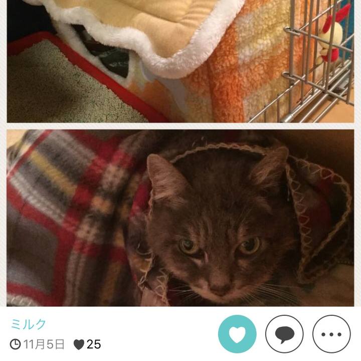 Ce849324 11a0 406a b817 e07c12b25784 1511691152113