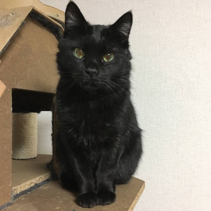 Ce84c505 ad05 435b bb00 1c3e0bfce558 1548079914323