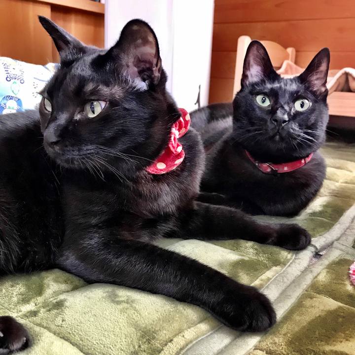 Ce84e7be 9a18 4dda 990f 94e025a63ef9 1519436150302