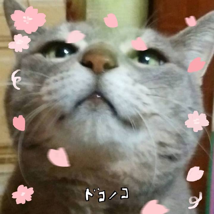 Ce851154 5647 4ee9 8ecd 1e001b1288a3 1744255174396