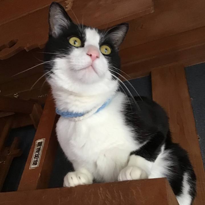 Ce853fb4 51fc 4d49 84cb aab4121ff244 1682327962208