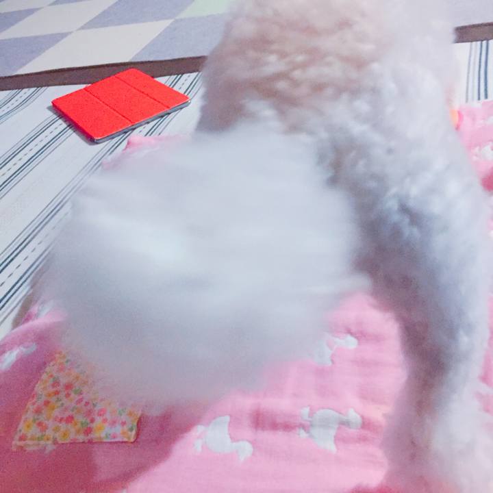 Ce854b59 8a64 4107 a3b3 75dd85df45ea 1532264544202